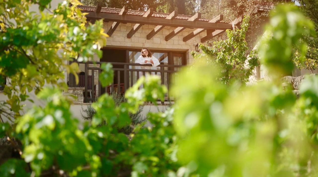 Secret Forest - Wellness Retreat & Healing (adults Only) Hotel Miliou
