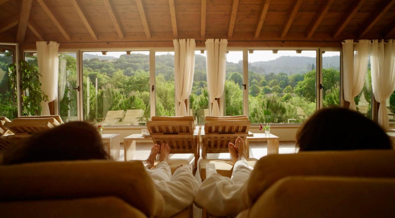 Secret Forest - Wellness Retreat & Healing (adults Only)