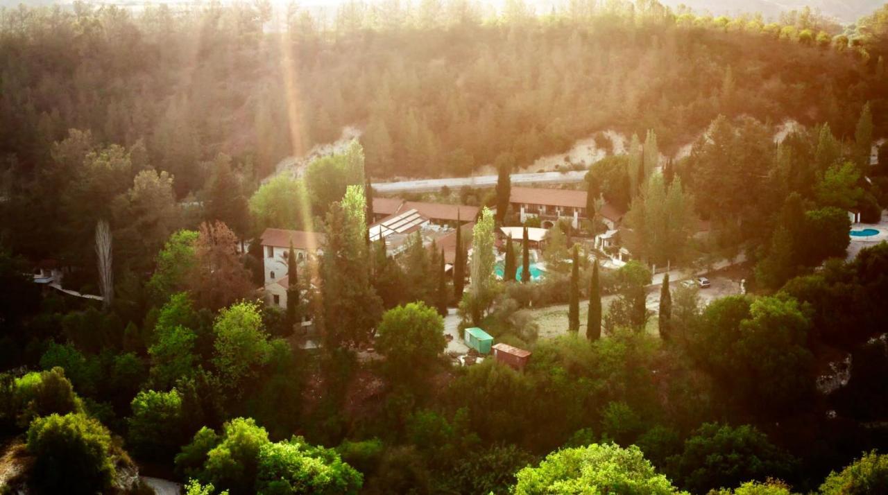 Secret Forest - Wellness Retreat & Healing (adults Only)