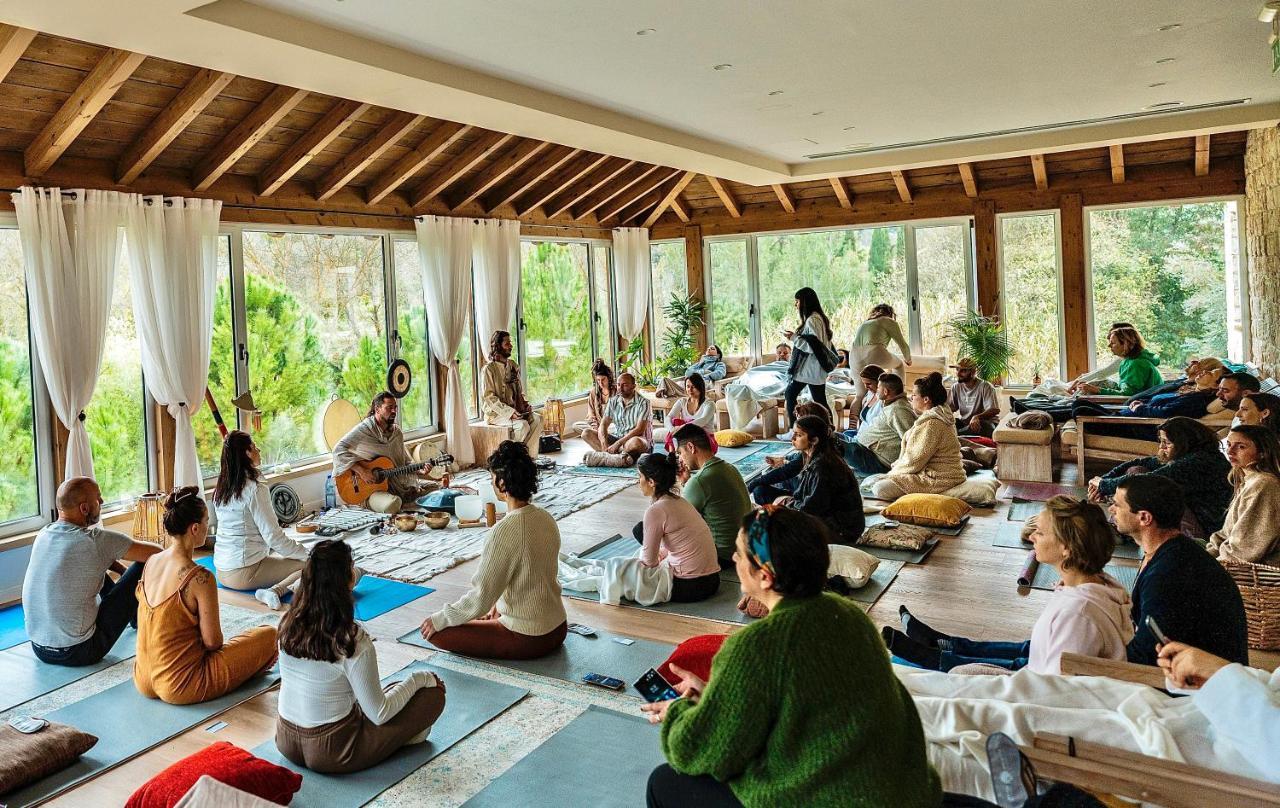 Secret Forest - Wellness Retreat & Healing (adults Only) Miliou