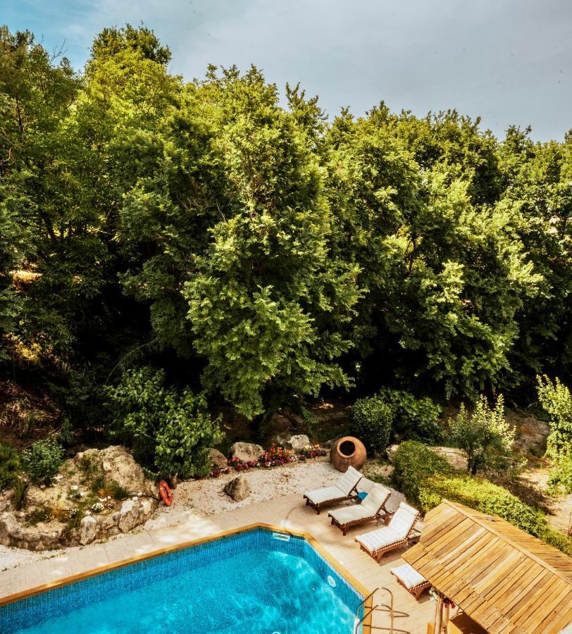 Secret Forest - Wellness Retreat & Healing (adults Only) 4*