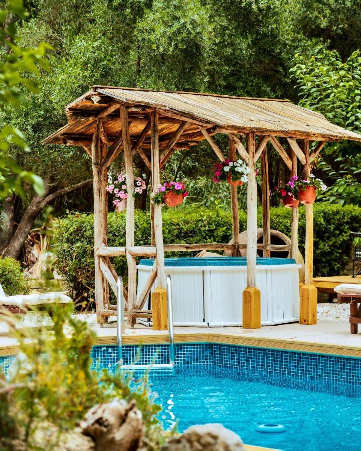 Secret Forest - Wellness Retreat & Healing (adults Only)