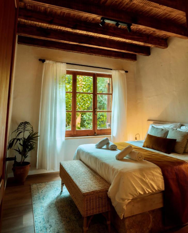 Secret Forest - Wellness Retreat & Healing (adults Only) Hotel Miliou