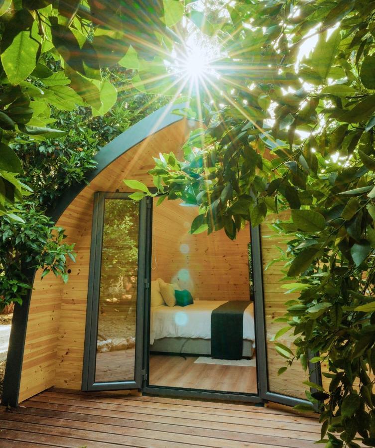 Secret Forest - Wellness Retreat & Healing (adults Only)