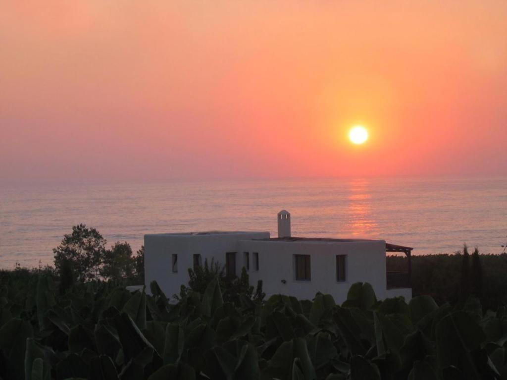 Banana Sunset Villa *