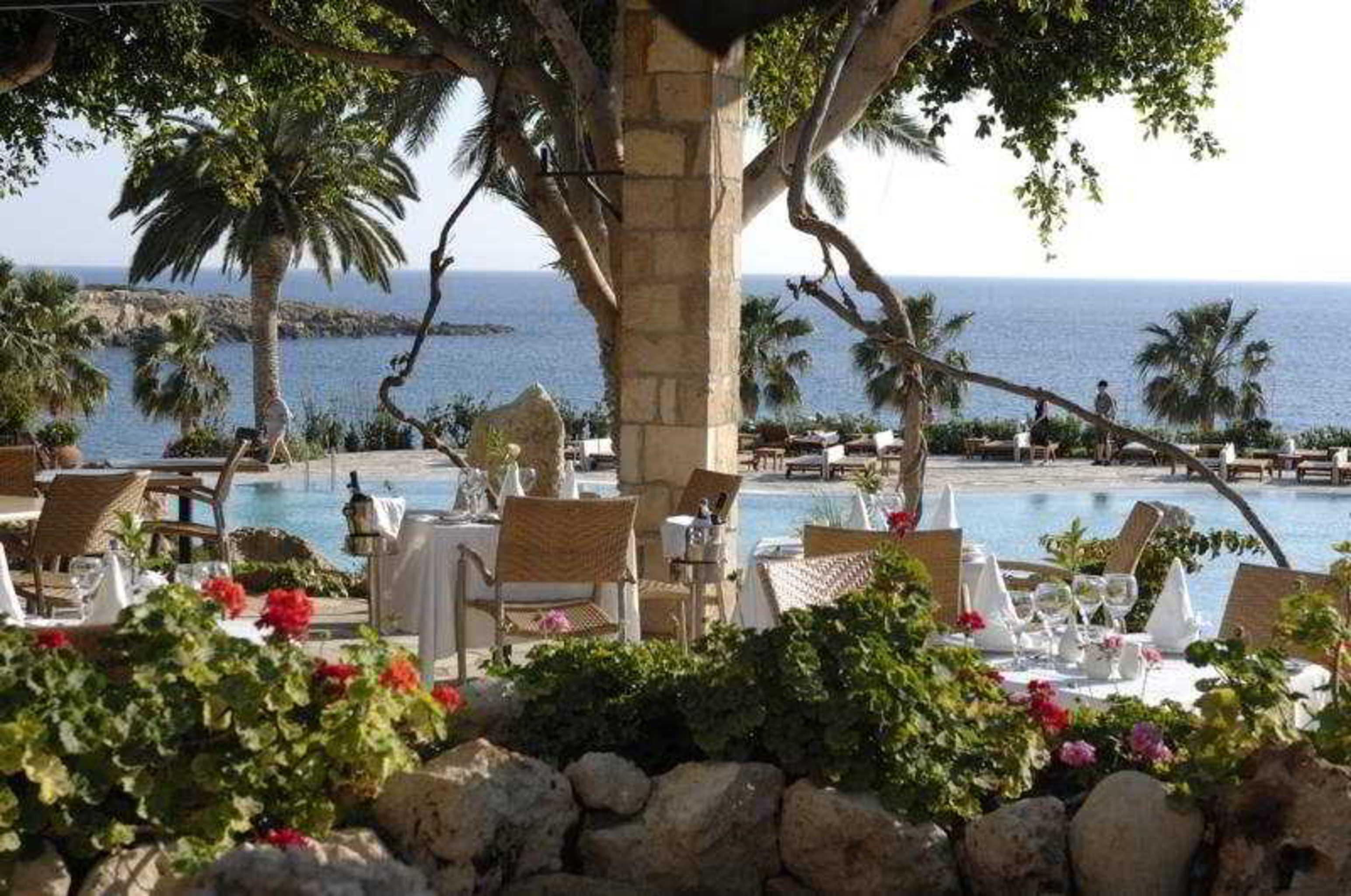 Coral & Cyprus 5*