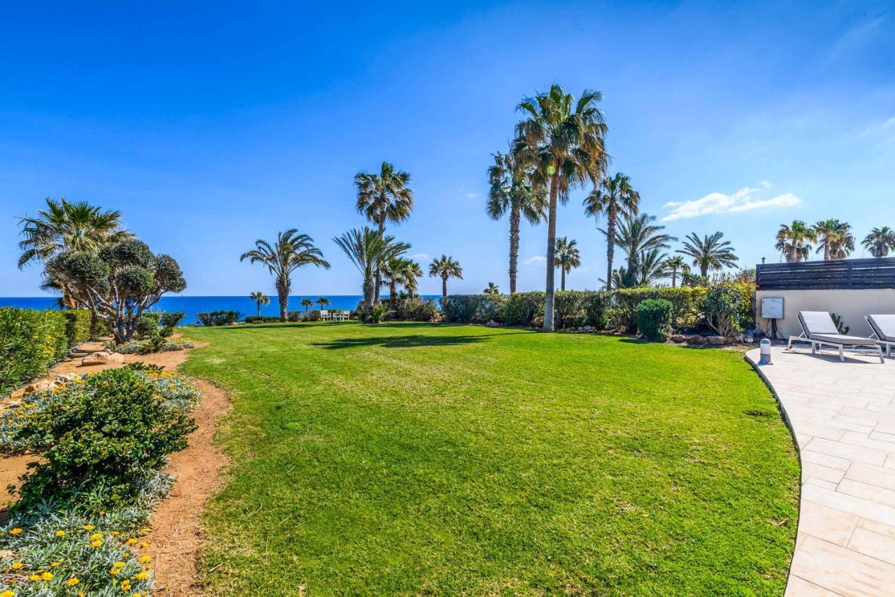 Royal * Paralimni