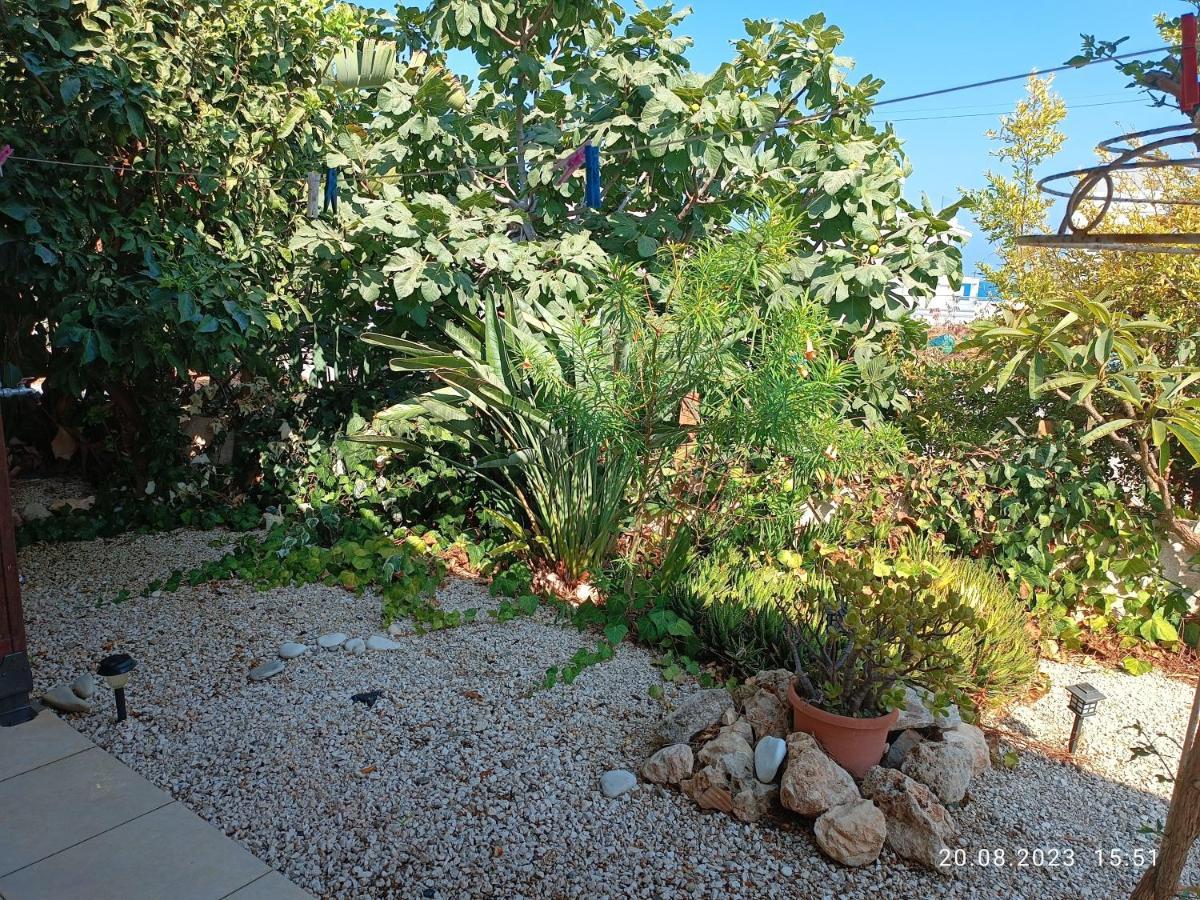 Ferienhaus_familykrausz Vakantiehuis Perivolia