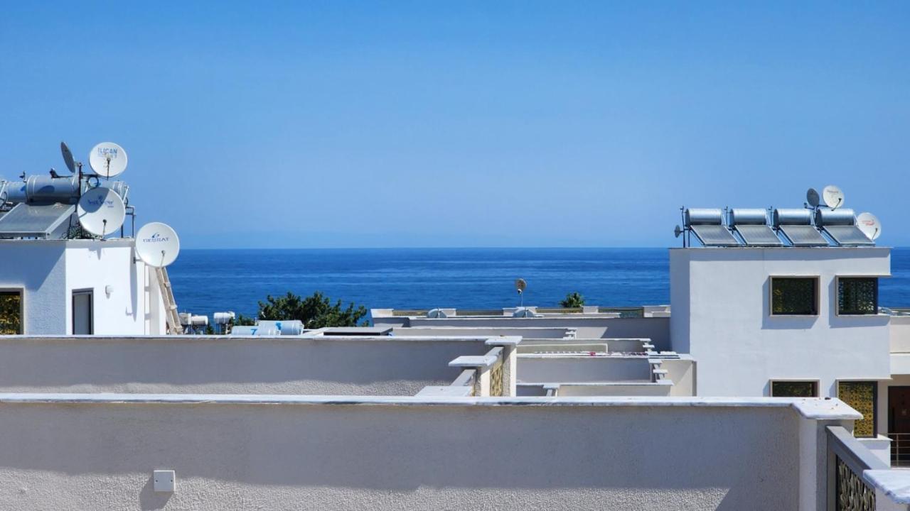 Esta Palm Living And Bedroom, 250 M From Apartment *