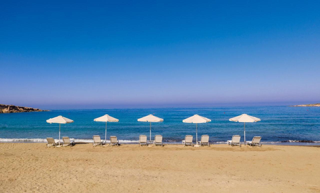 Coral & Cyprus Coral Bay