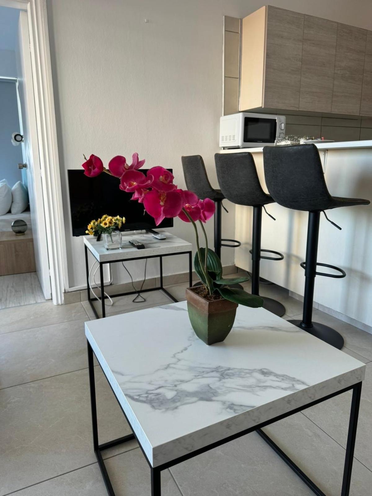 Alex 203 Apartamento