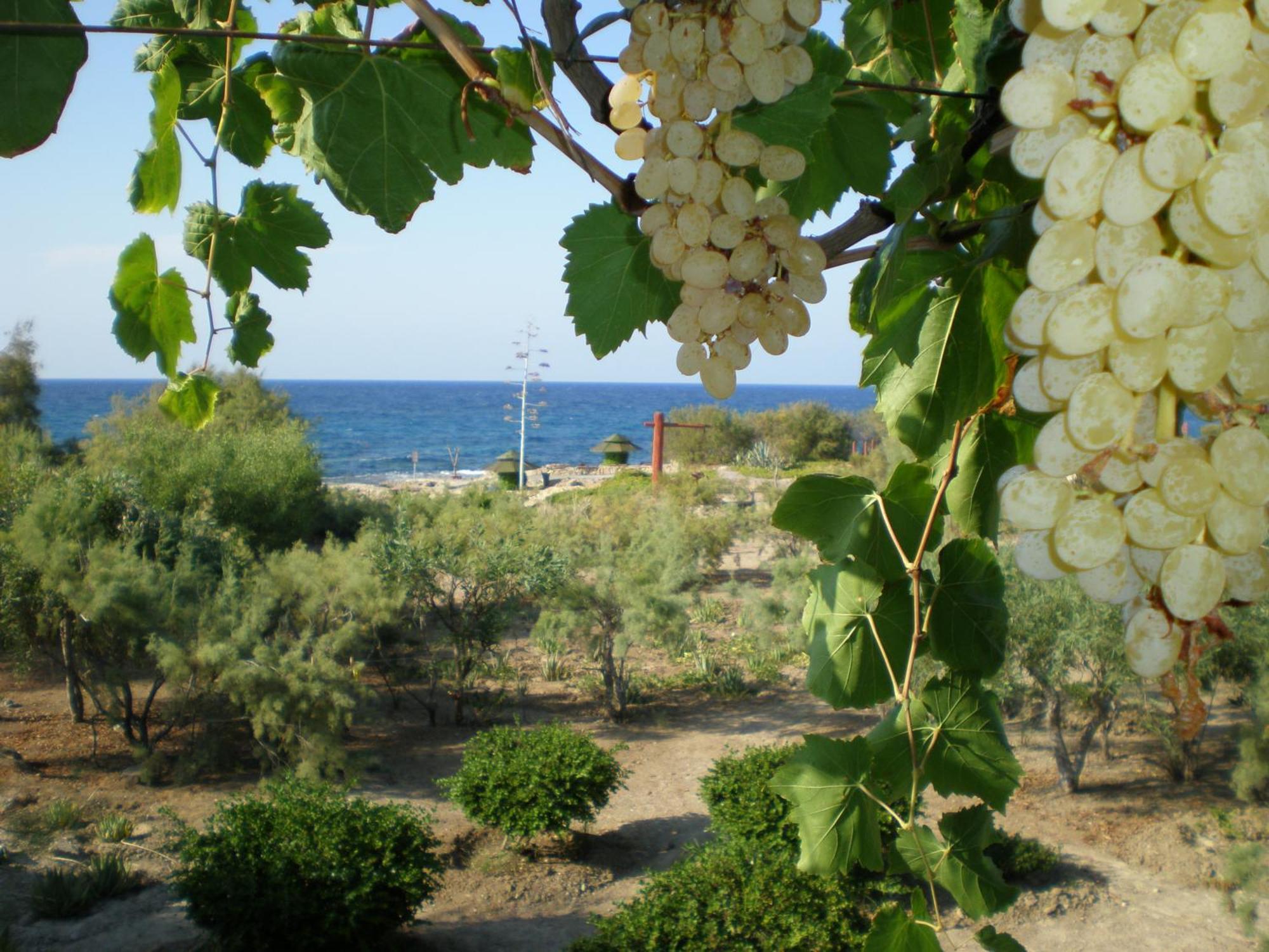 Riviera Beach 4*
