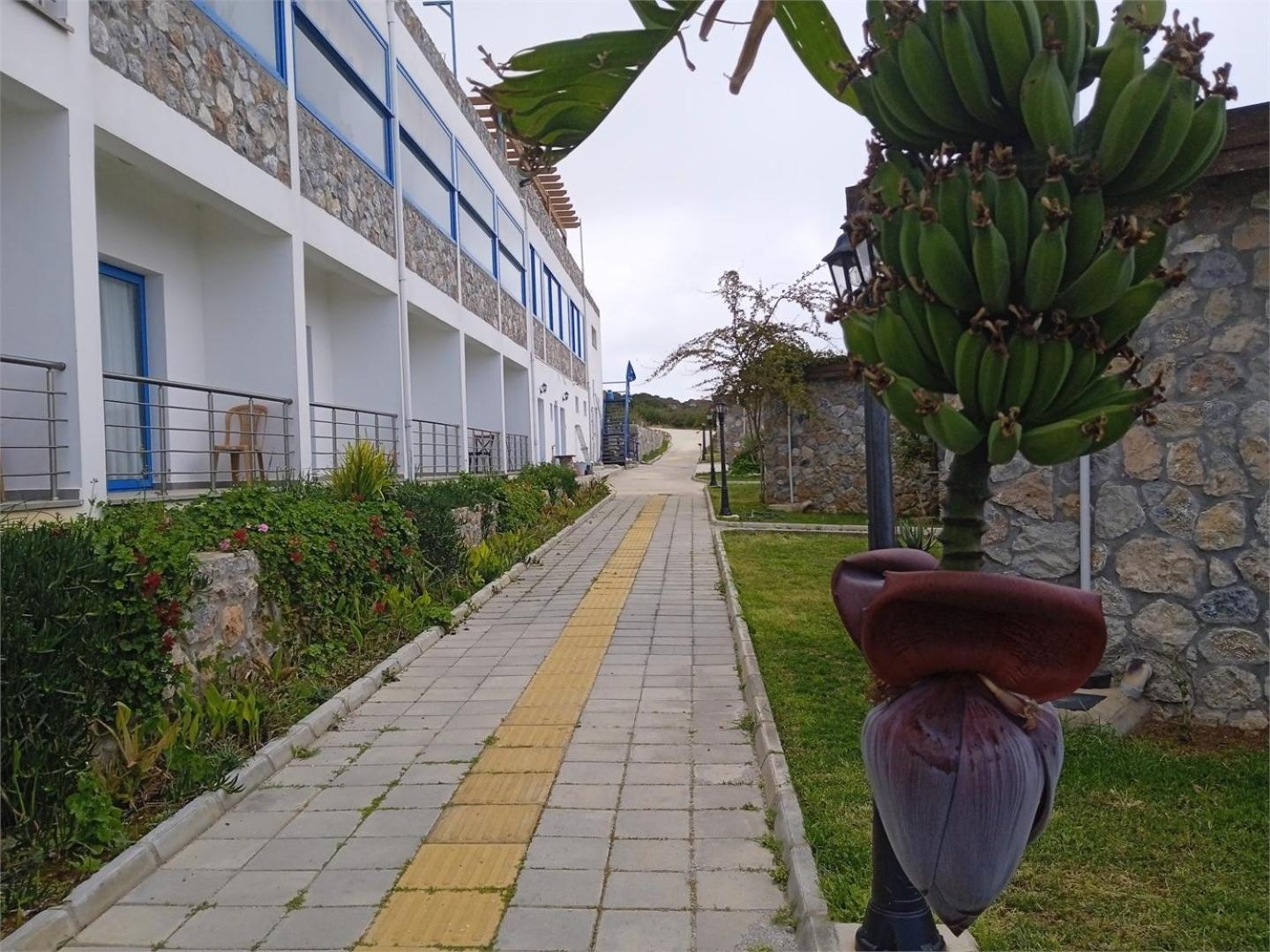 Ardic Agaci Village