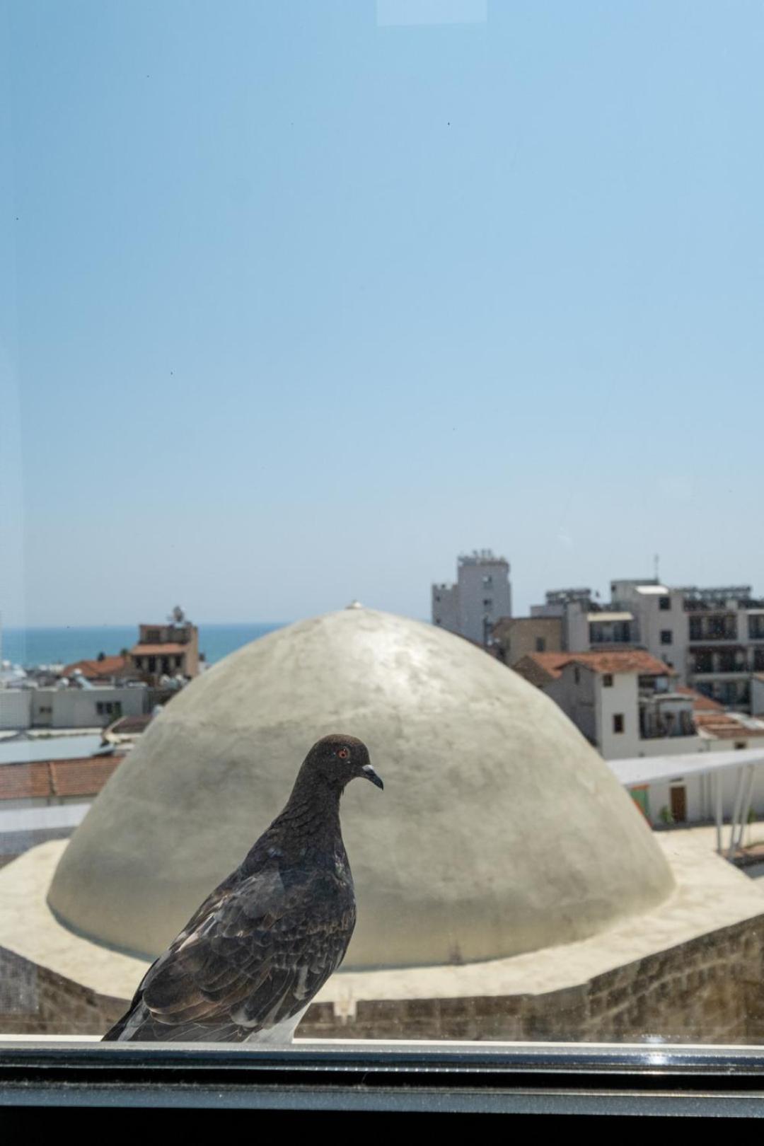 Livadhiotis Hotel Larnaca