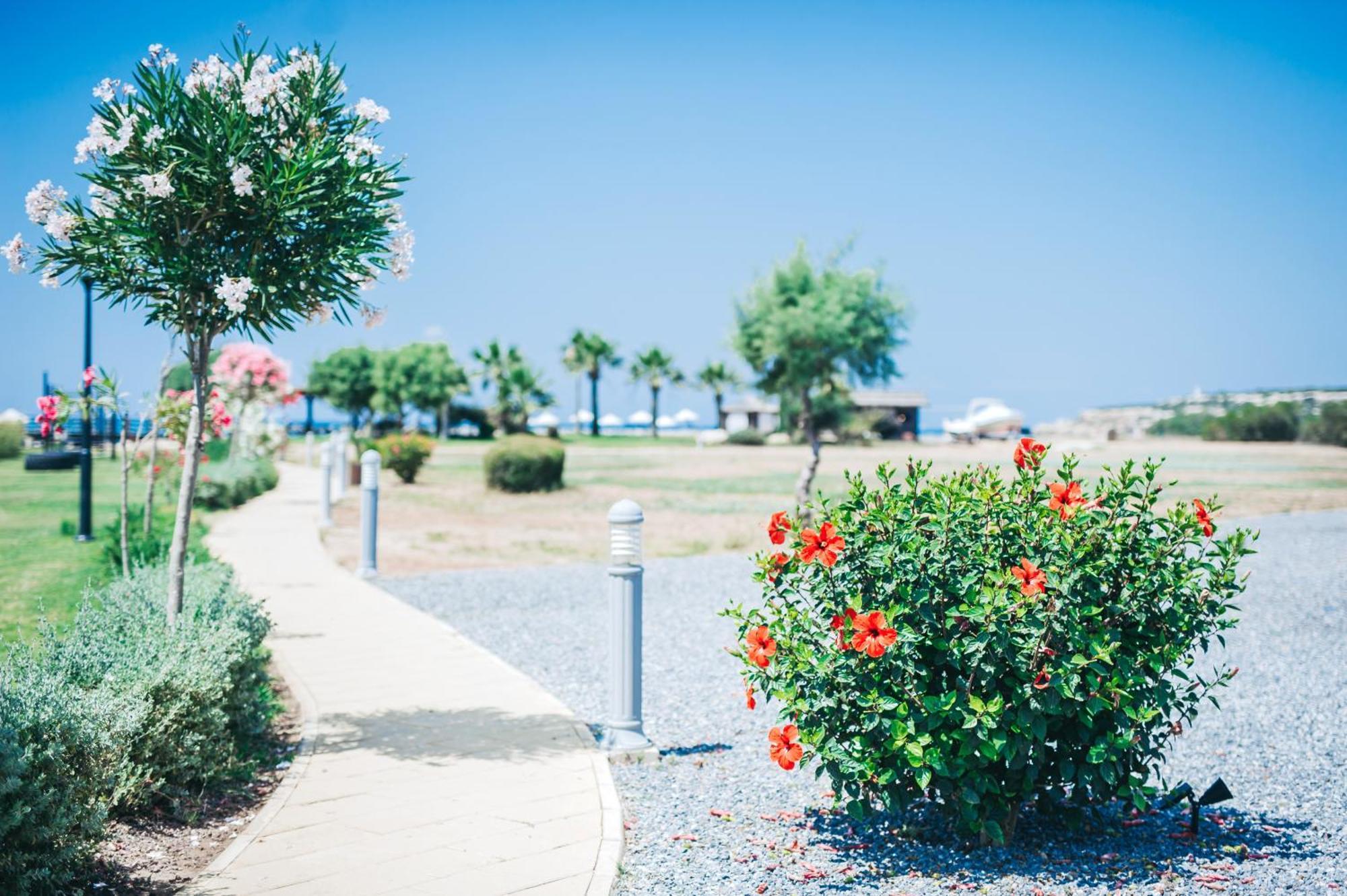 Apartment Premium Sun Vokolidha
