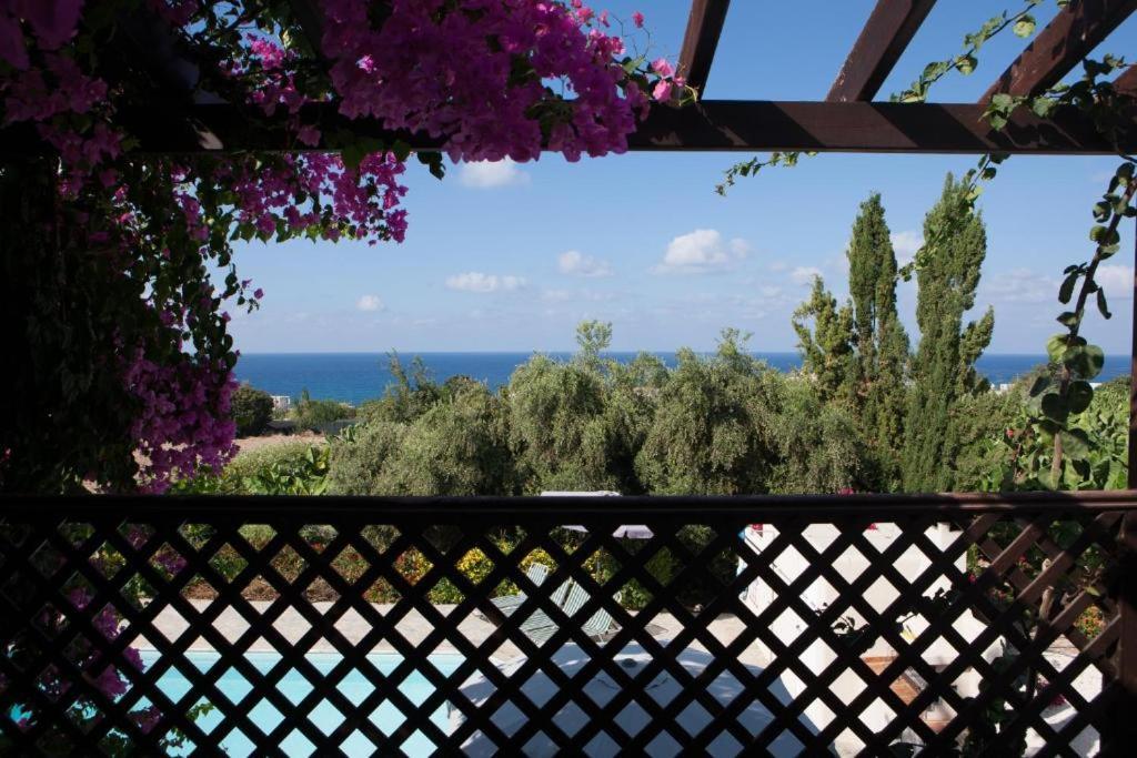 Villa Banana Sunset Paphos