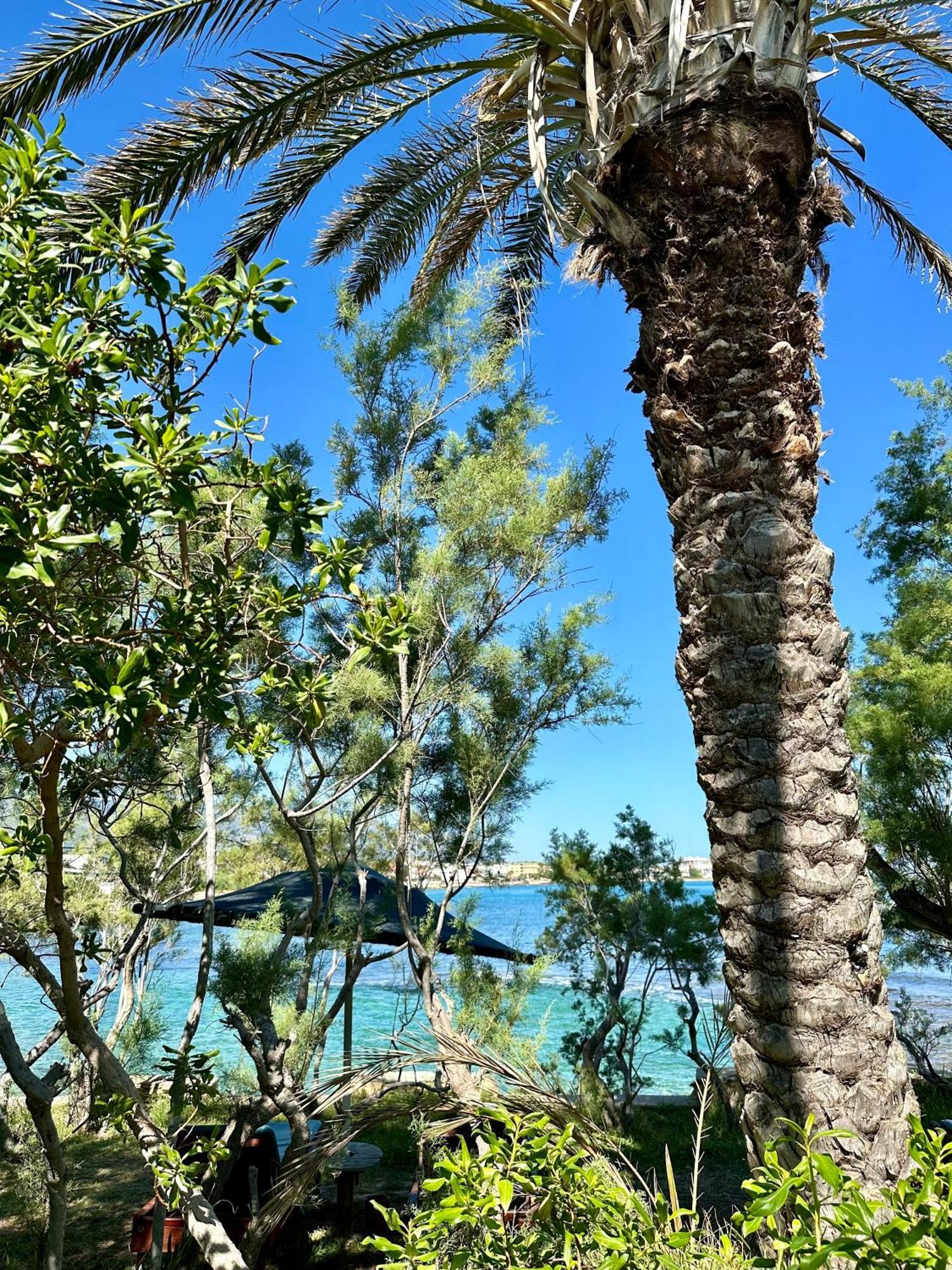 Riviera Beach Resort Kyrenia (Northern Cyprus)