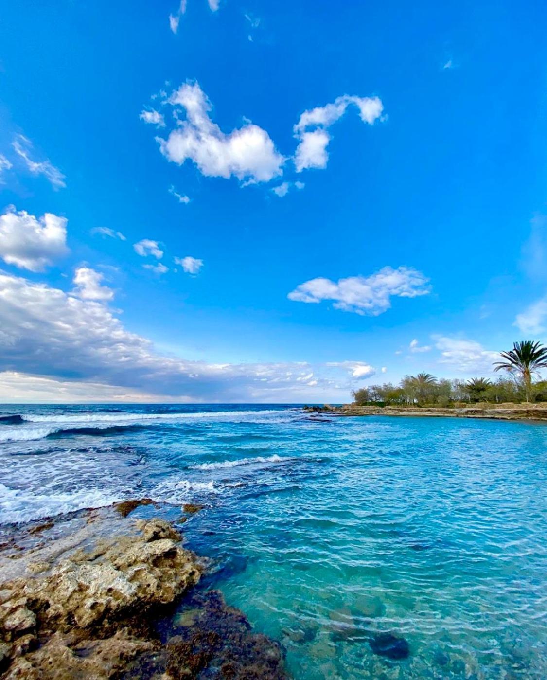 Resort Riviera Beach