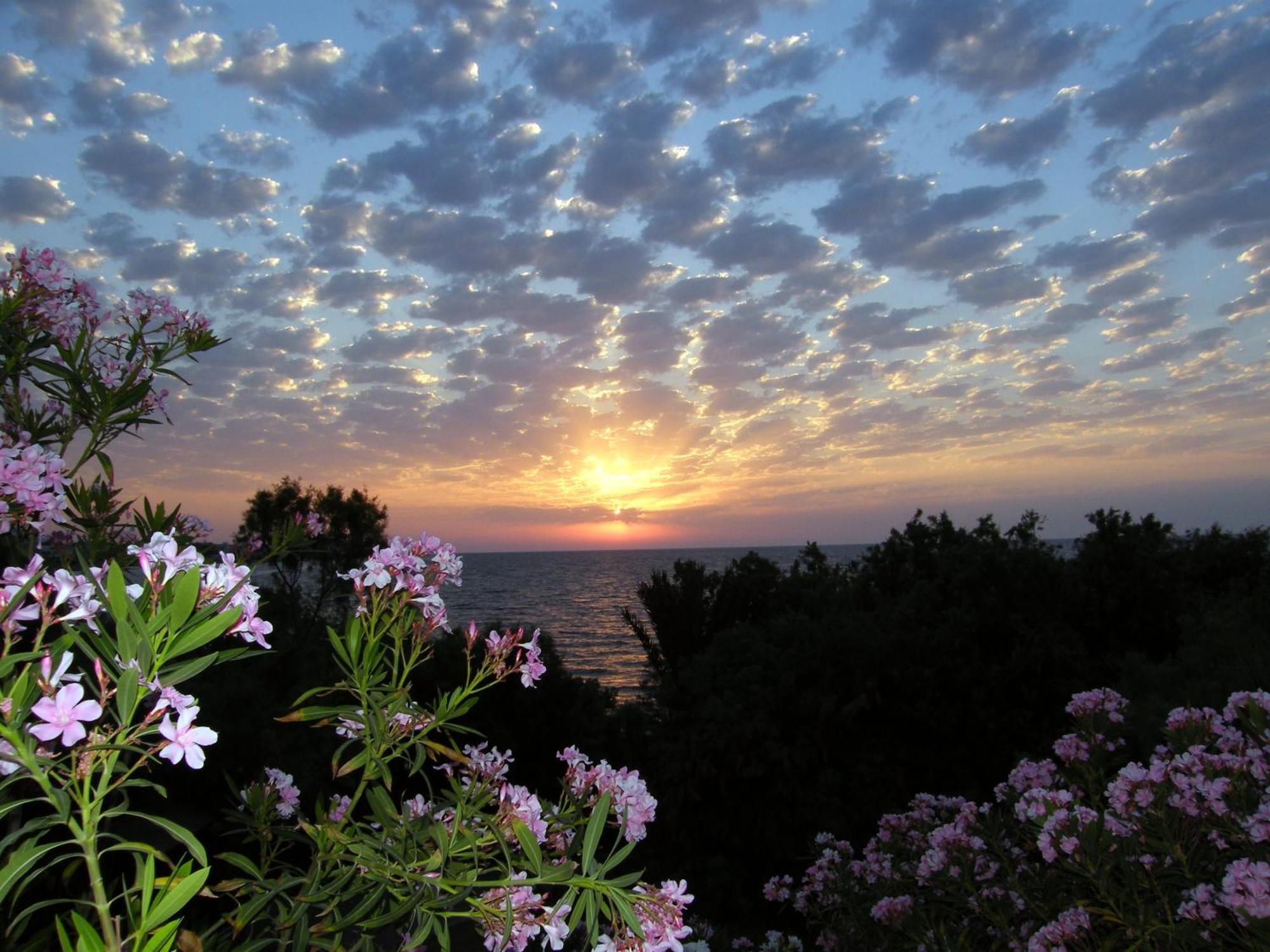 Riviera Beach Resort Kyrenia (Northern Cyprus)