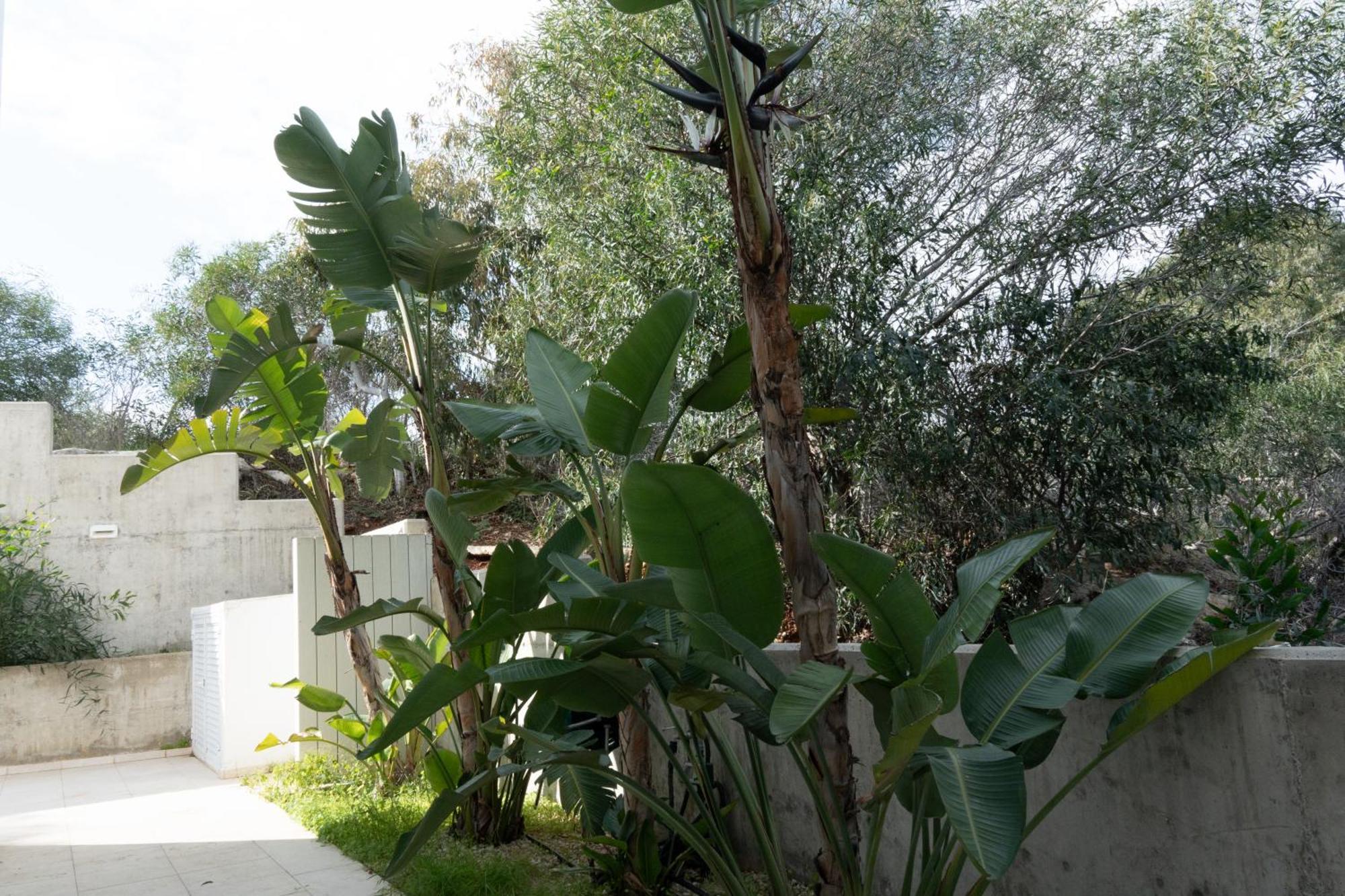Wealthystays Niceday Hill Protaras