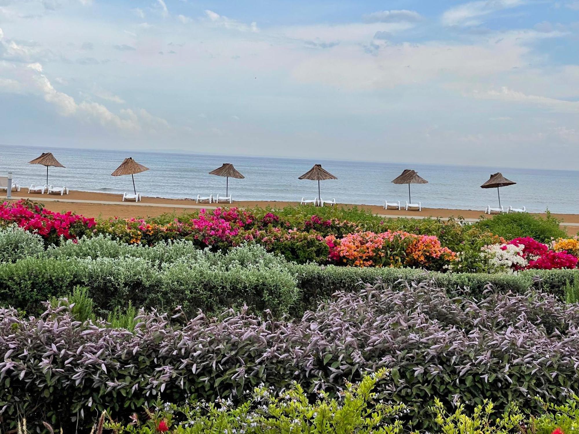 Sweetness By The Sea Apartment Vokolidha