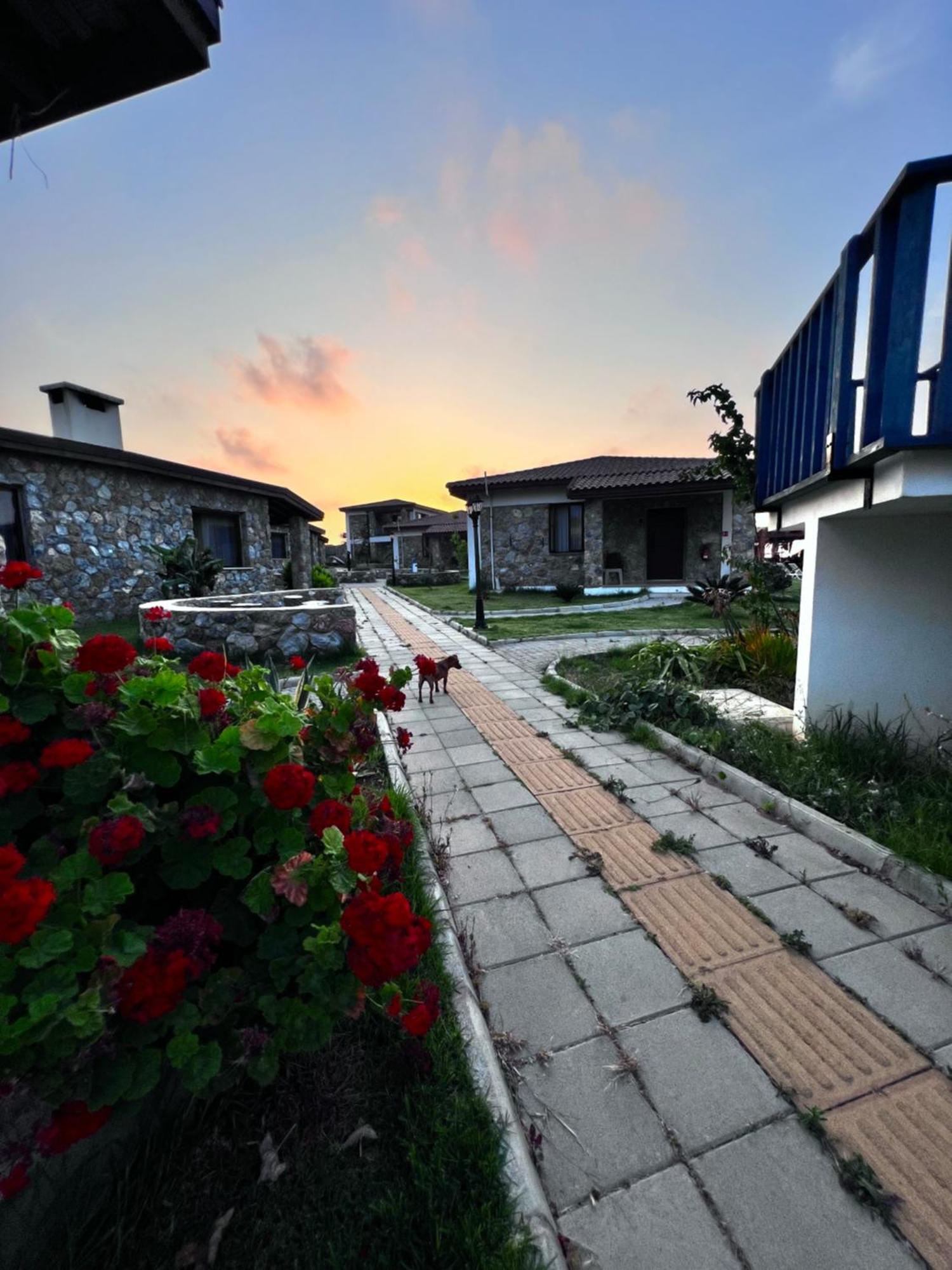 Ardic Agaci Village * Famagusta (Northern Cyprus)