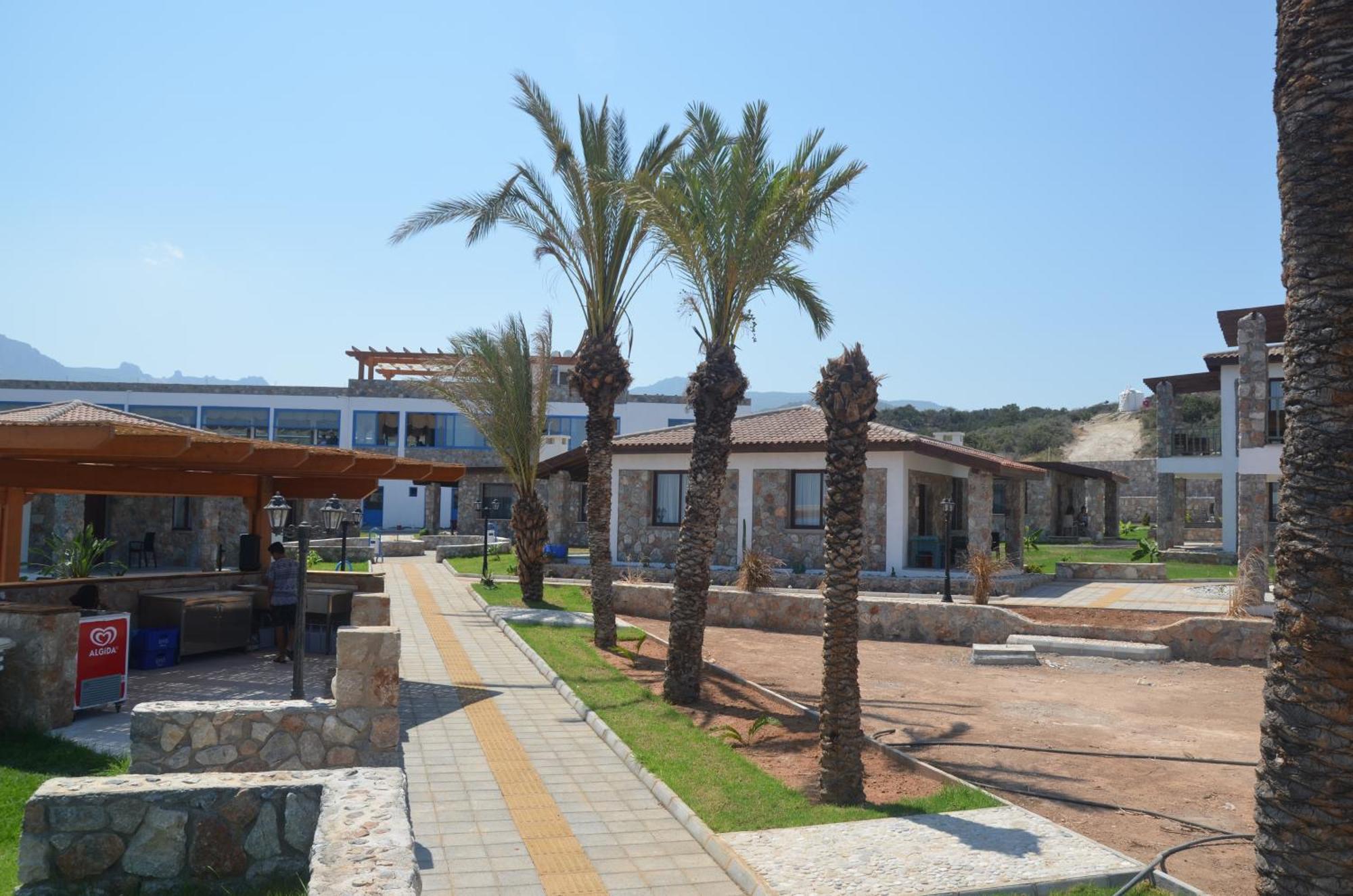 Bed & Breakfast Ardic Agaci Village *