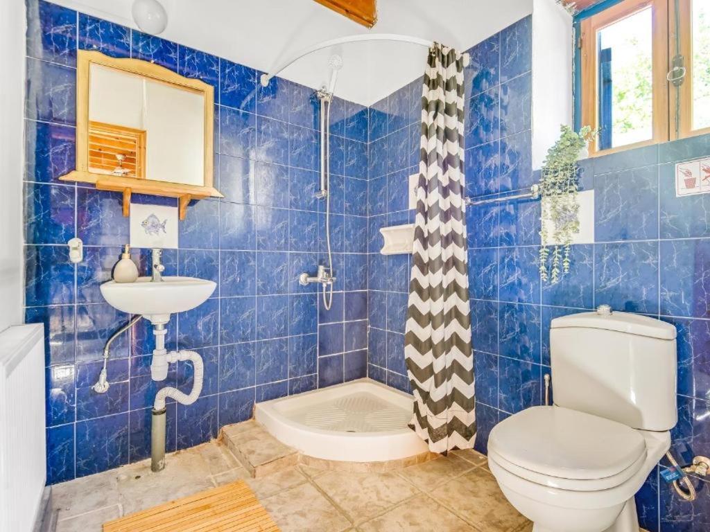 Apartment Cornaro House