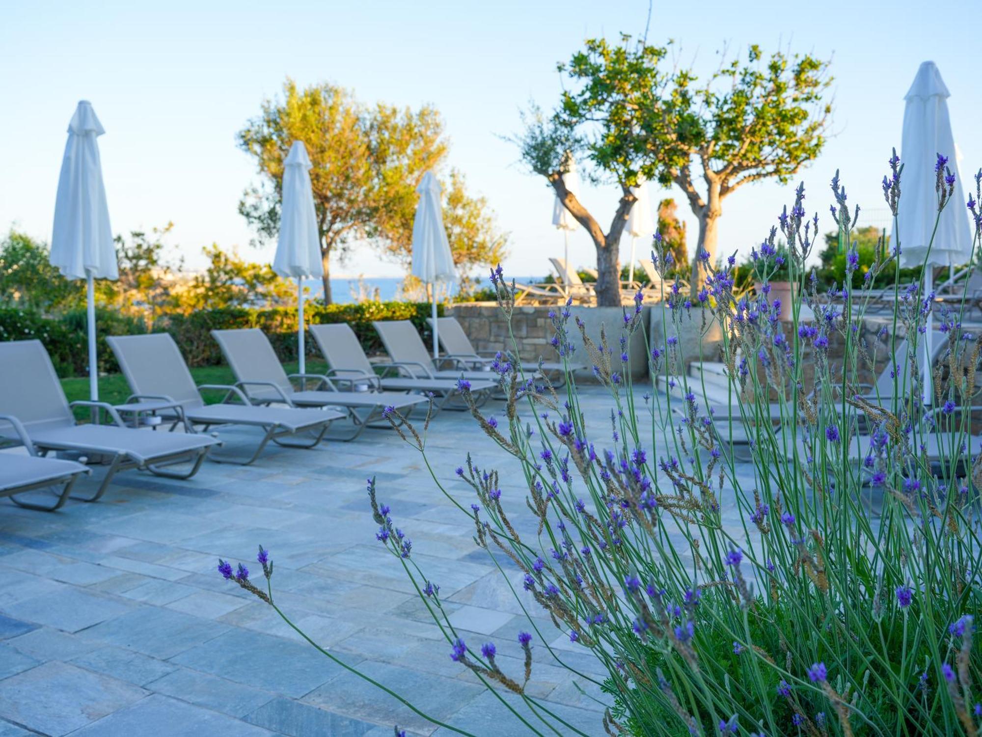 Thalassa Boutique & (adults Only)