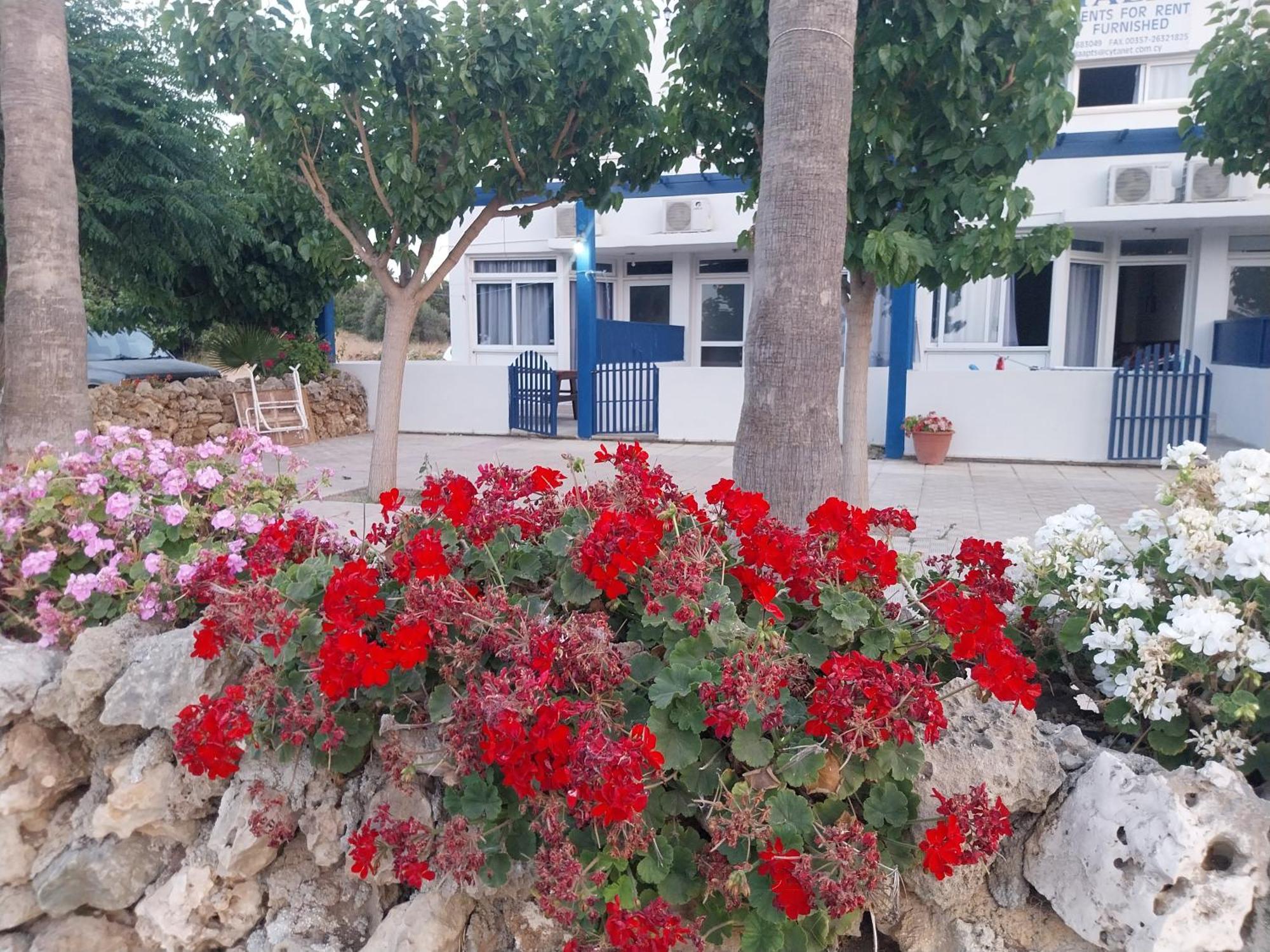 Appartement Amalia