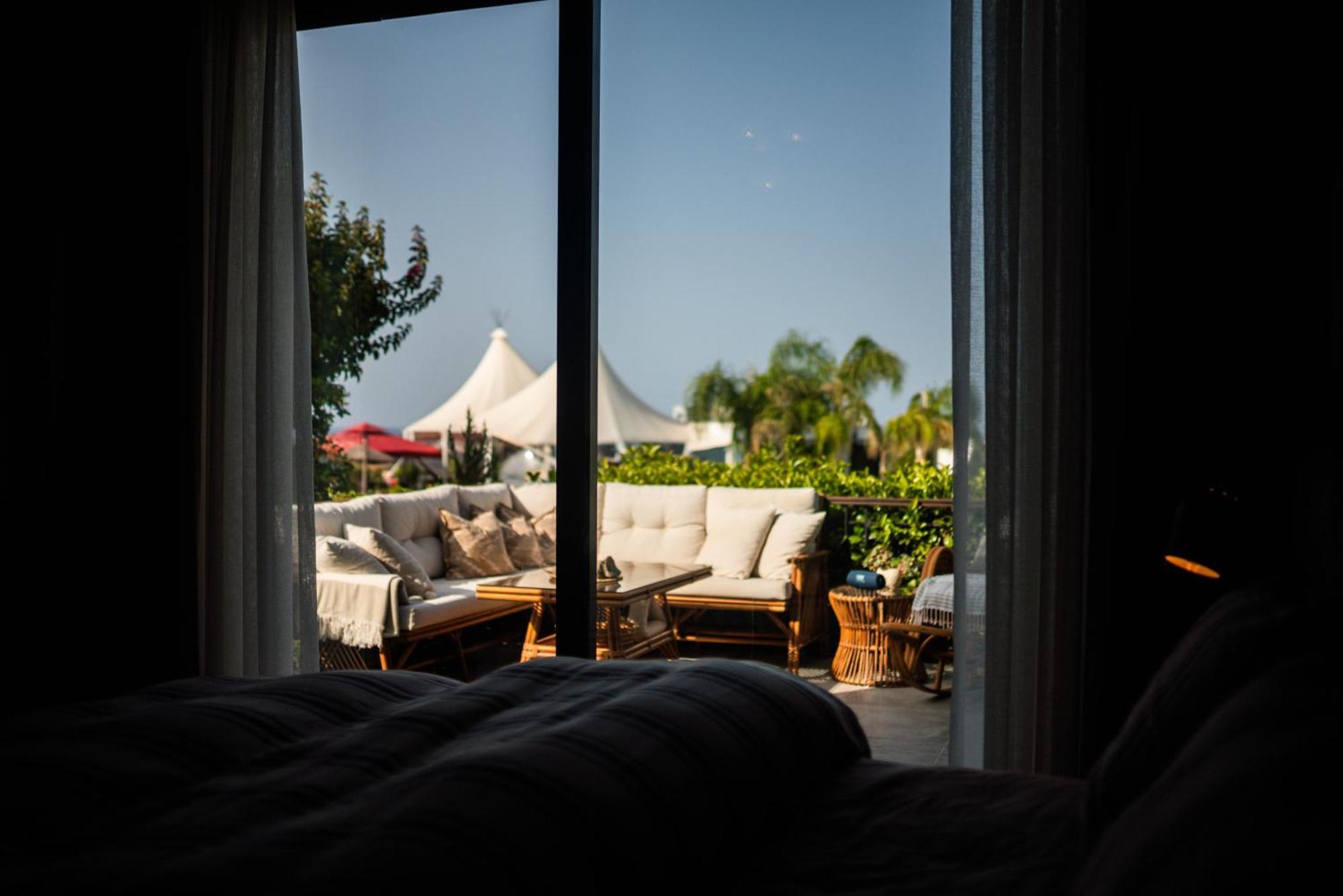 Modern And Cozy Designer In Relaxing Environment *