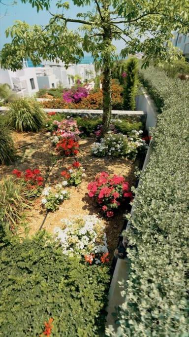Two Bedroom Stylish * Kyrenia (Northern Cyprus)