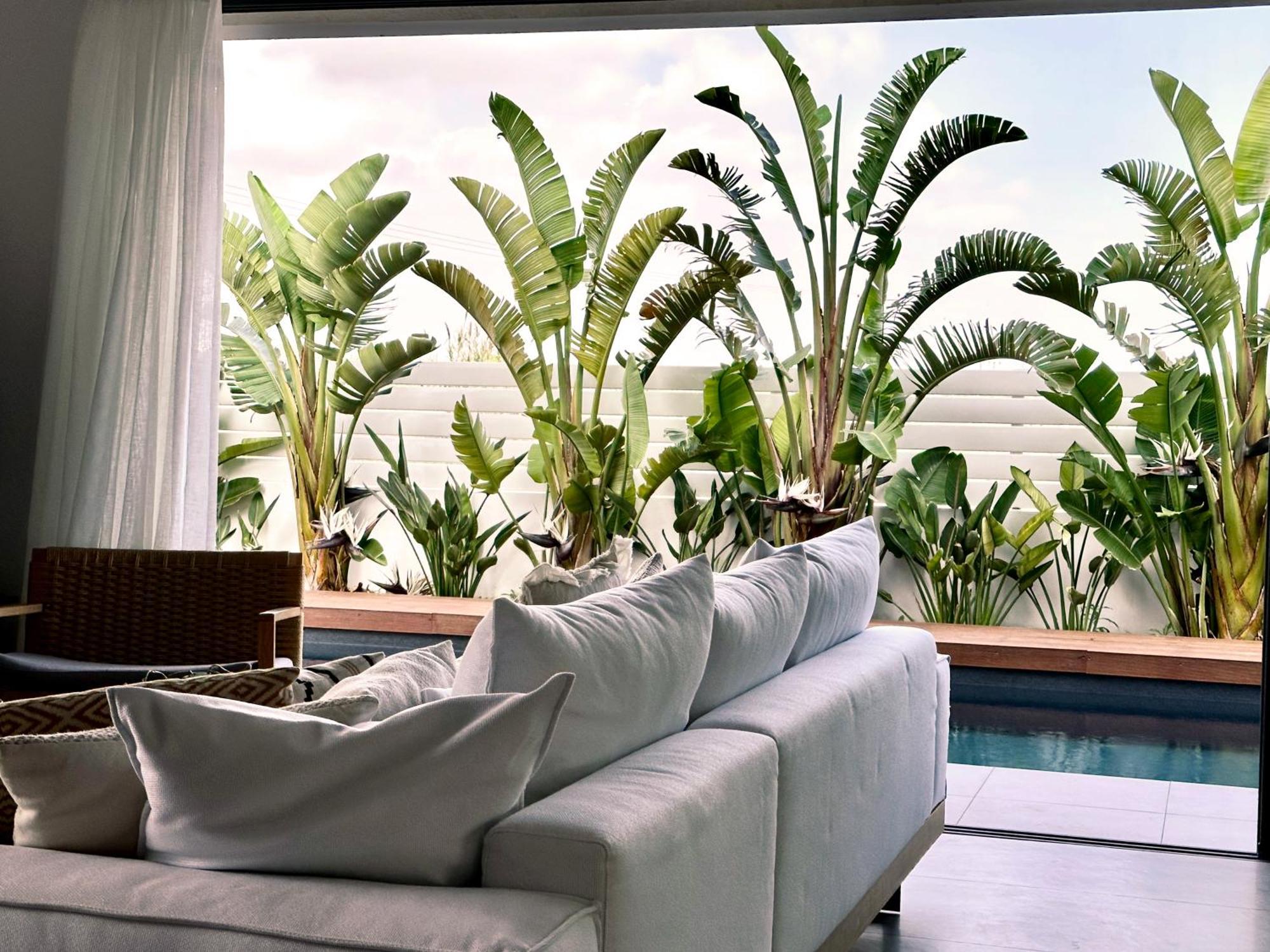 Lora Pearl Luxury *