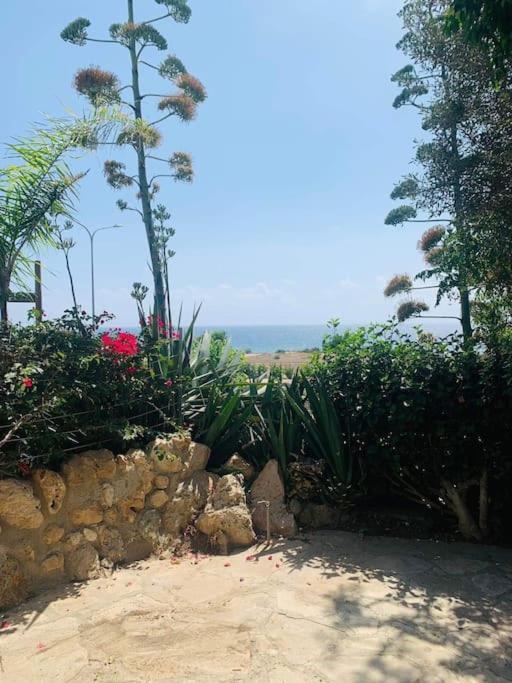 Appartement Venus 2 Bedrooms Paphos