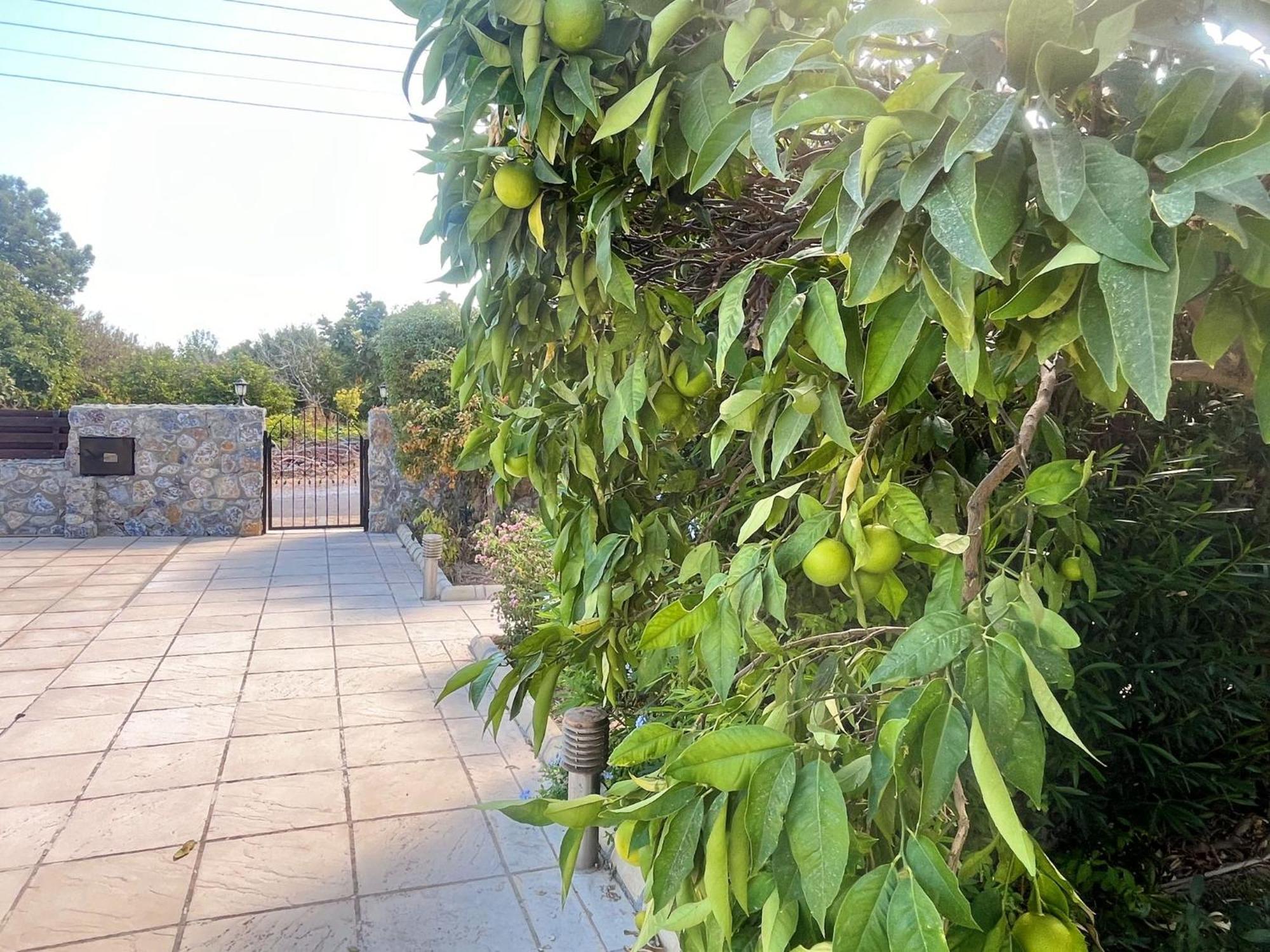 Charming In Tranquil Area Villa Lapta