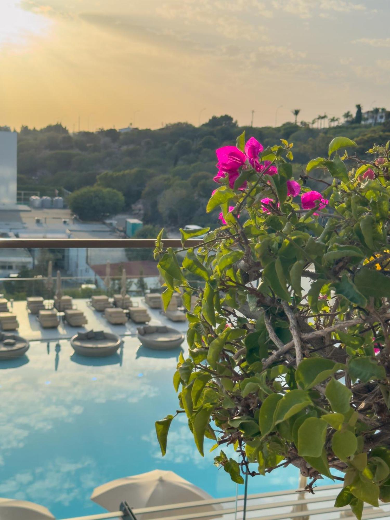 Hotel Amarande (adults Only) 5*