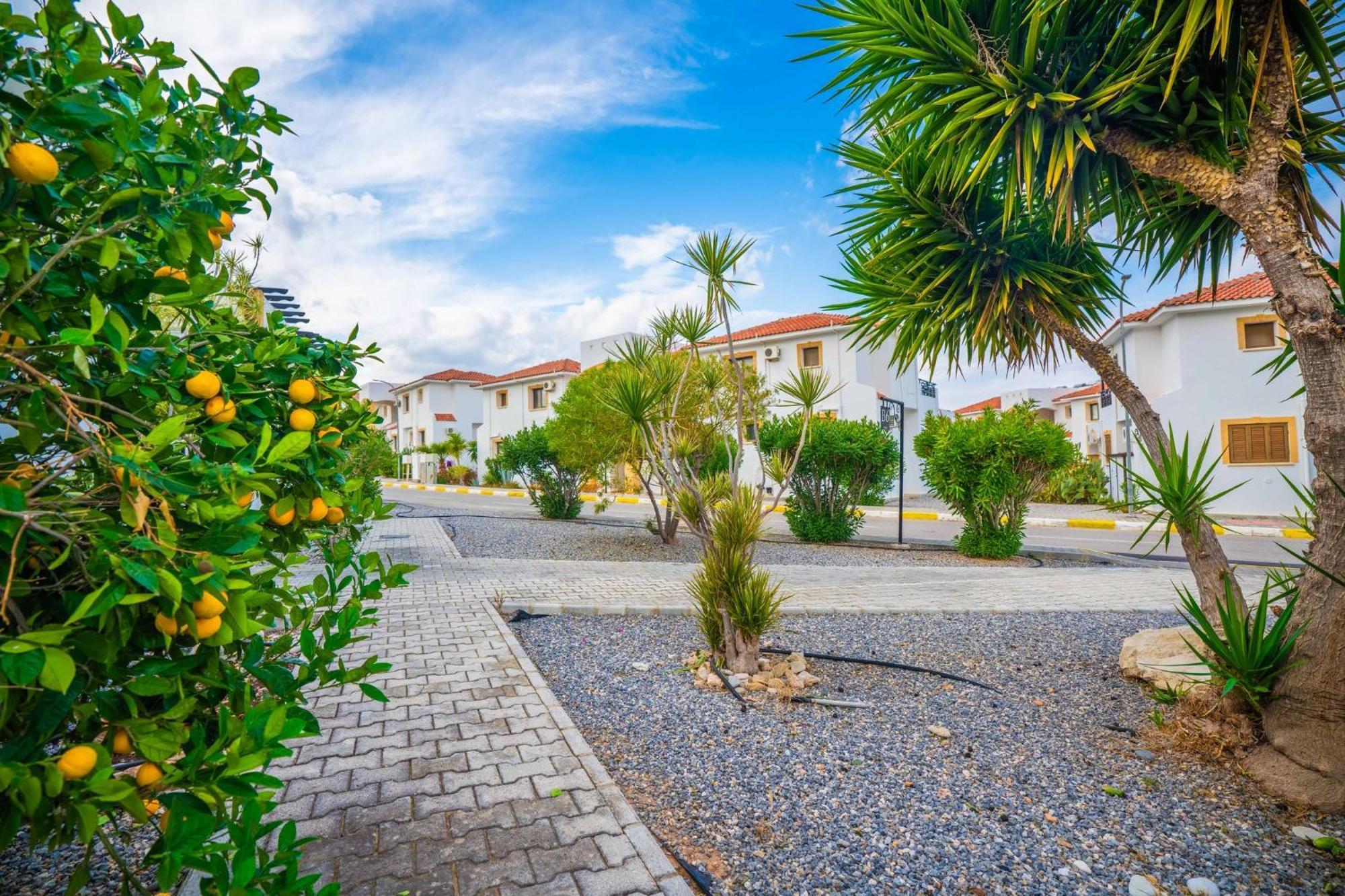 Apartment Welcoming 3-bedroom With Ocean Views