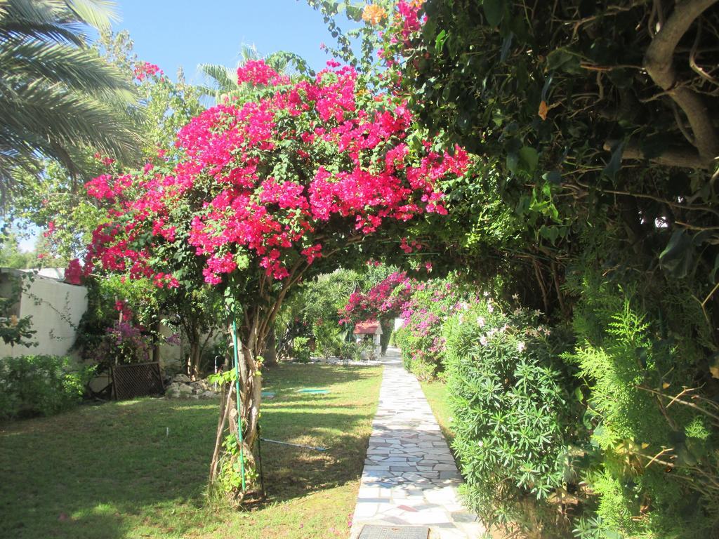 Aparthotel Tsialis