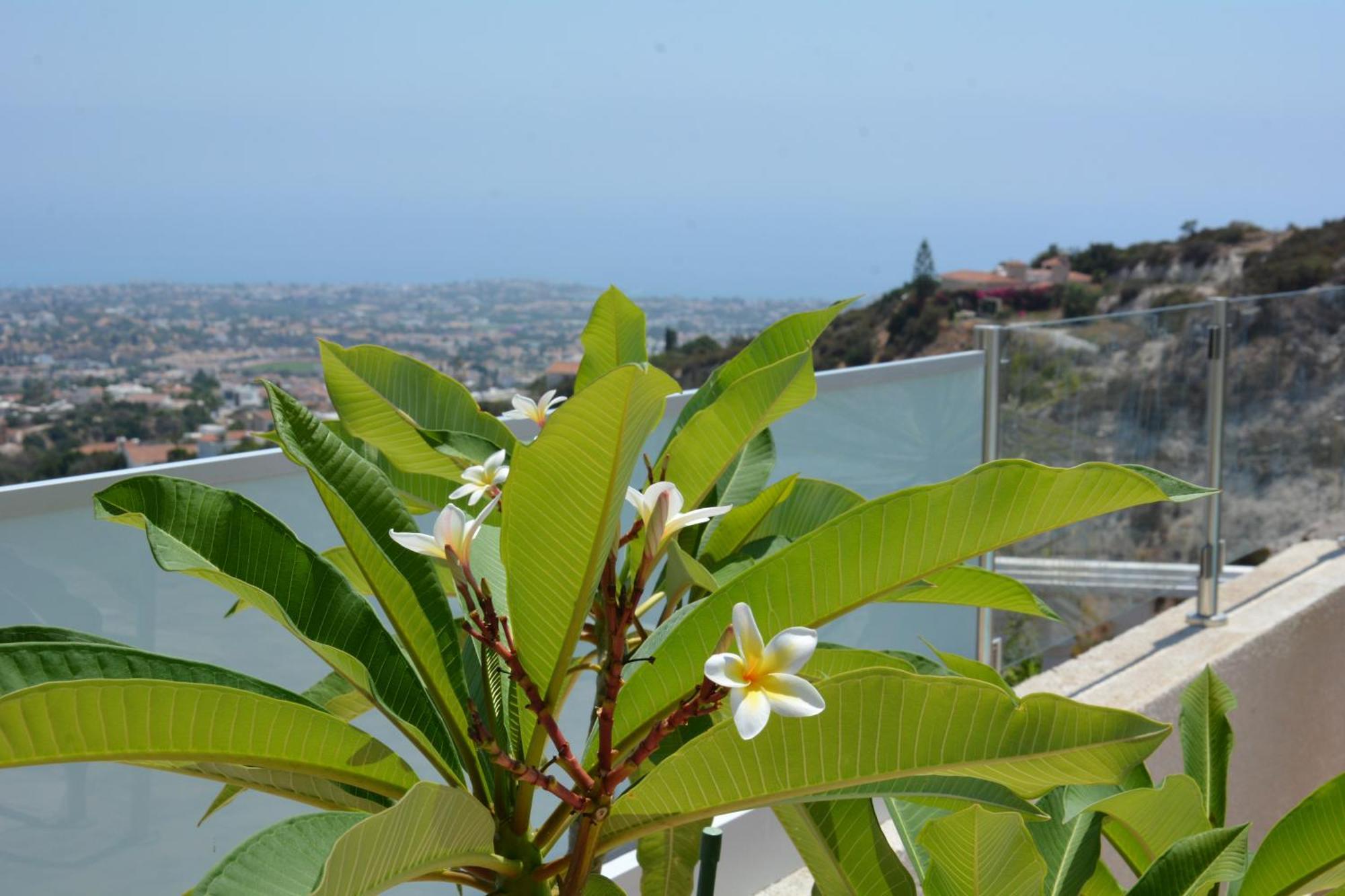 Villa Ocean Breeze *