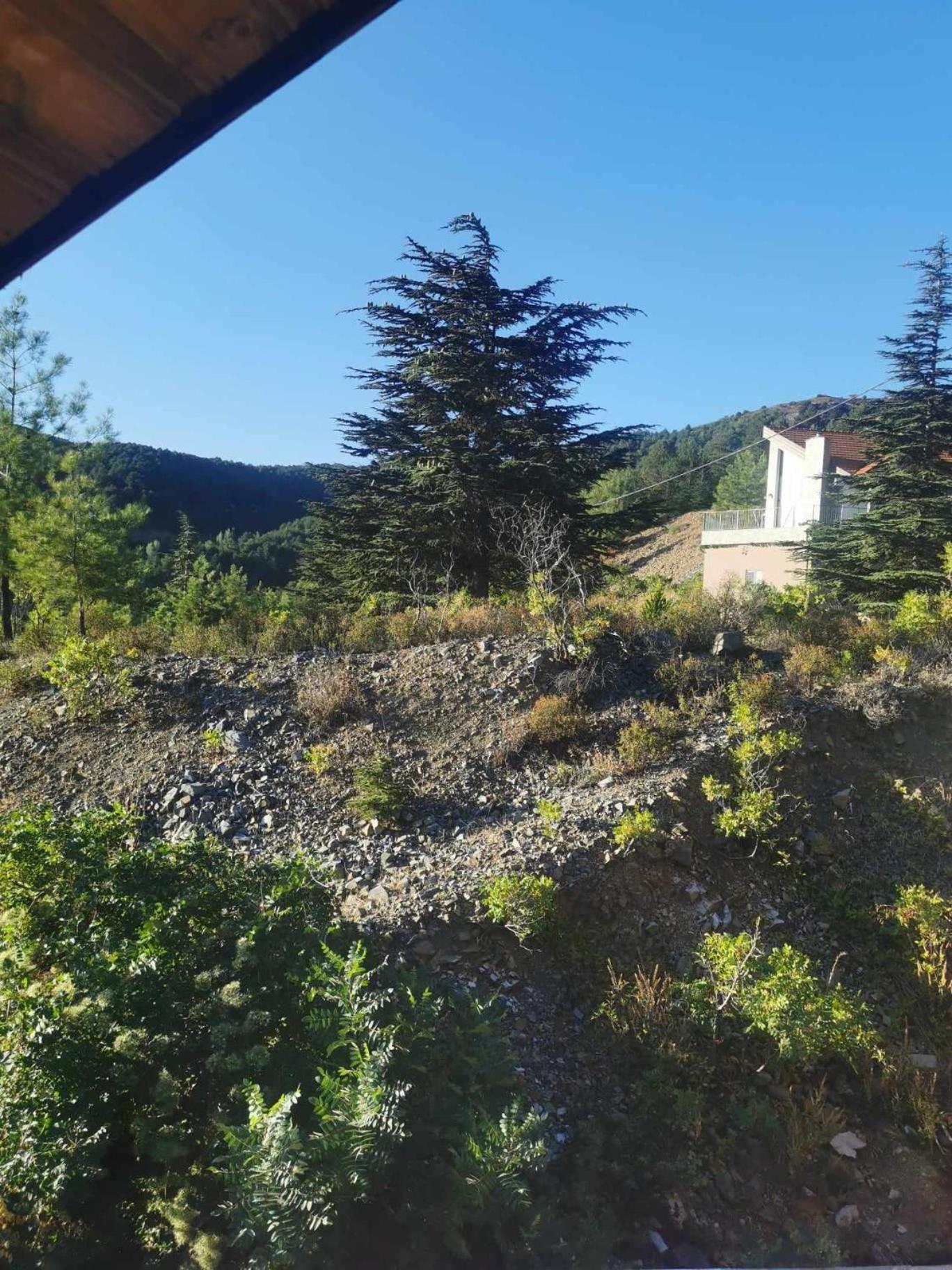 The Mouflon House Pedoulas