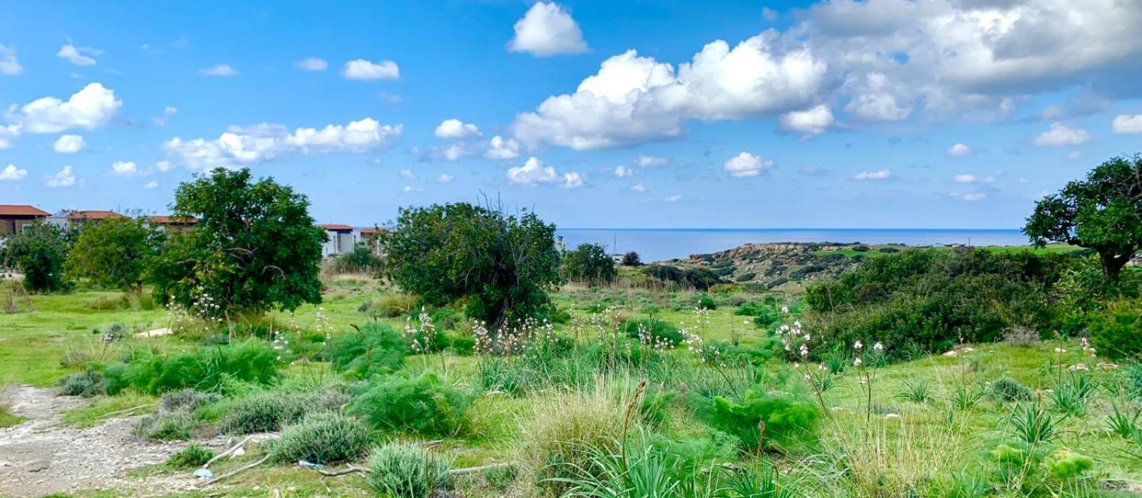 Boho Paralimni