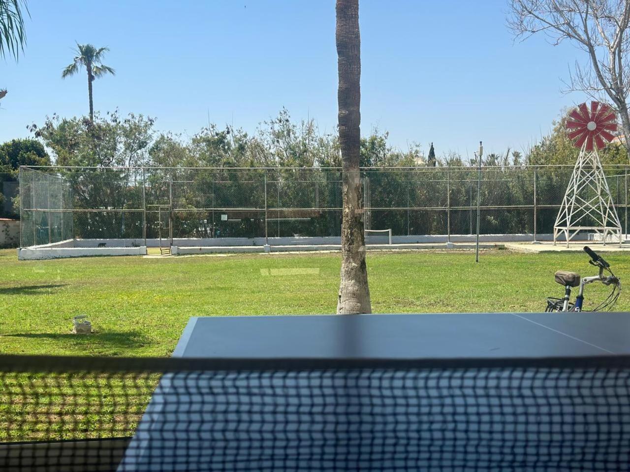 Napa Jay 3*