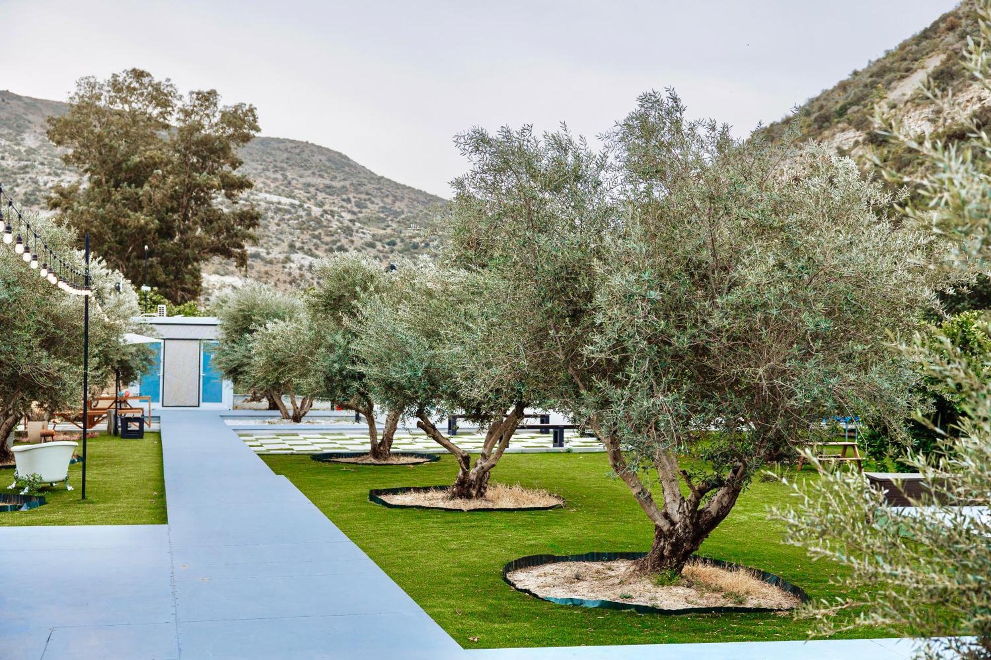 Lodge Geometry Park Agios Theodoros