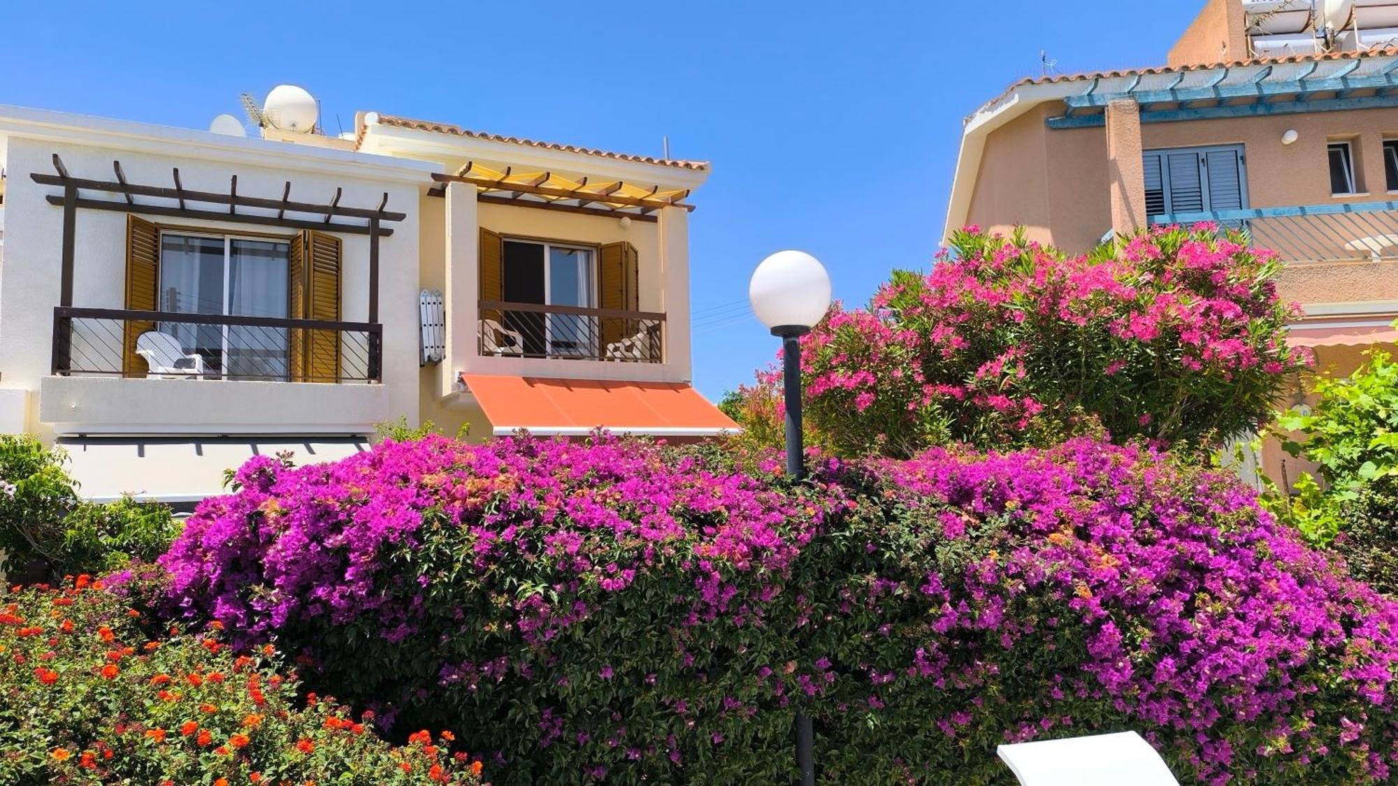 Eva Gardens Corner House With Stunning Garden And Huge Swimming Pool Next To Coral Bay Holiday home Peyia