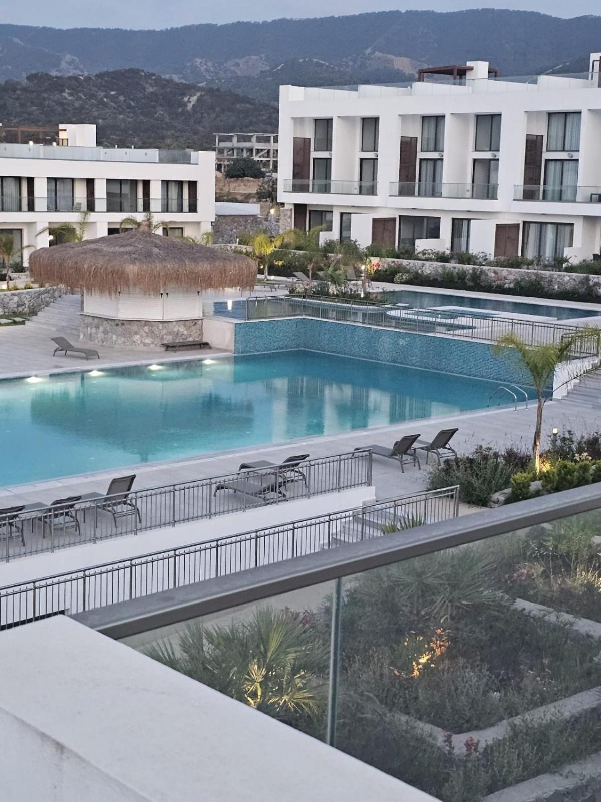 The Olive Beachfront & Kalogrea