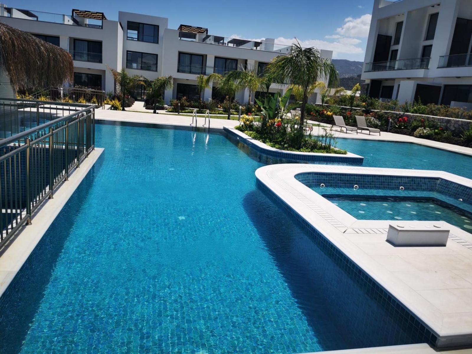 The Olive Beachfront &