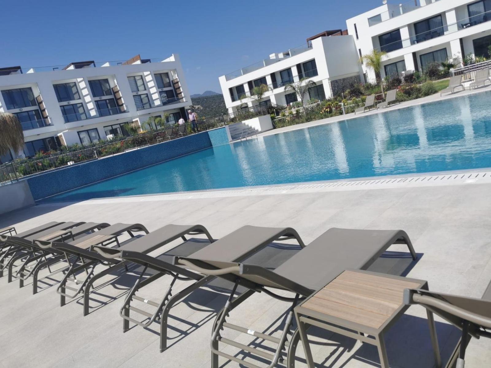 The Olive Beachfront & Kalogrea