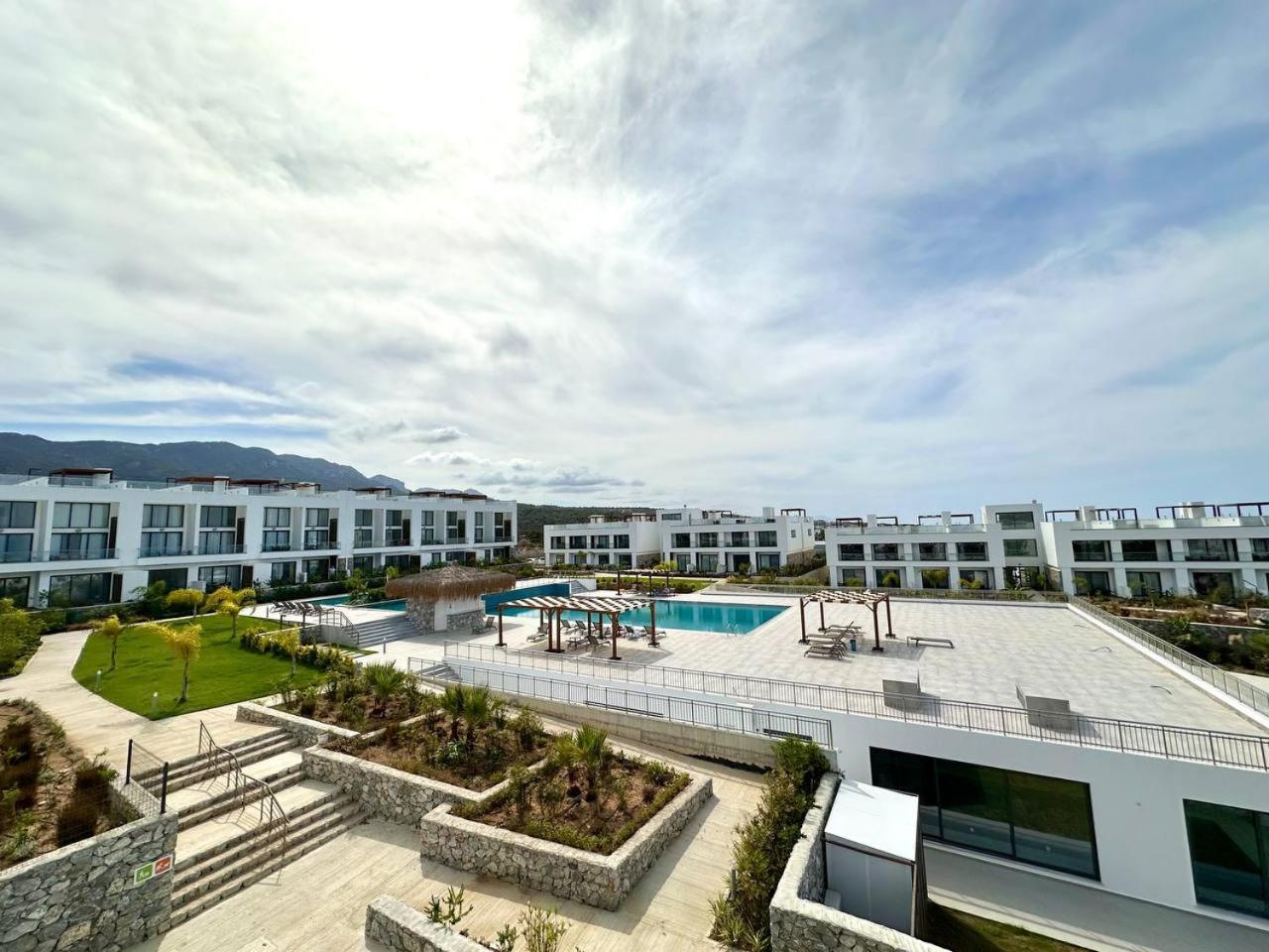 The Olive Beachfront & Apartment *