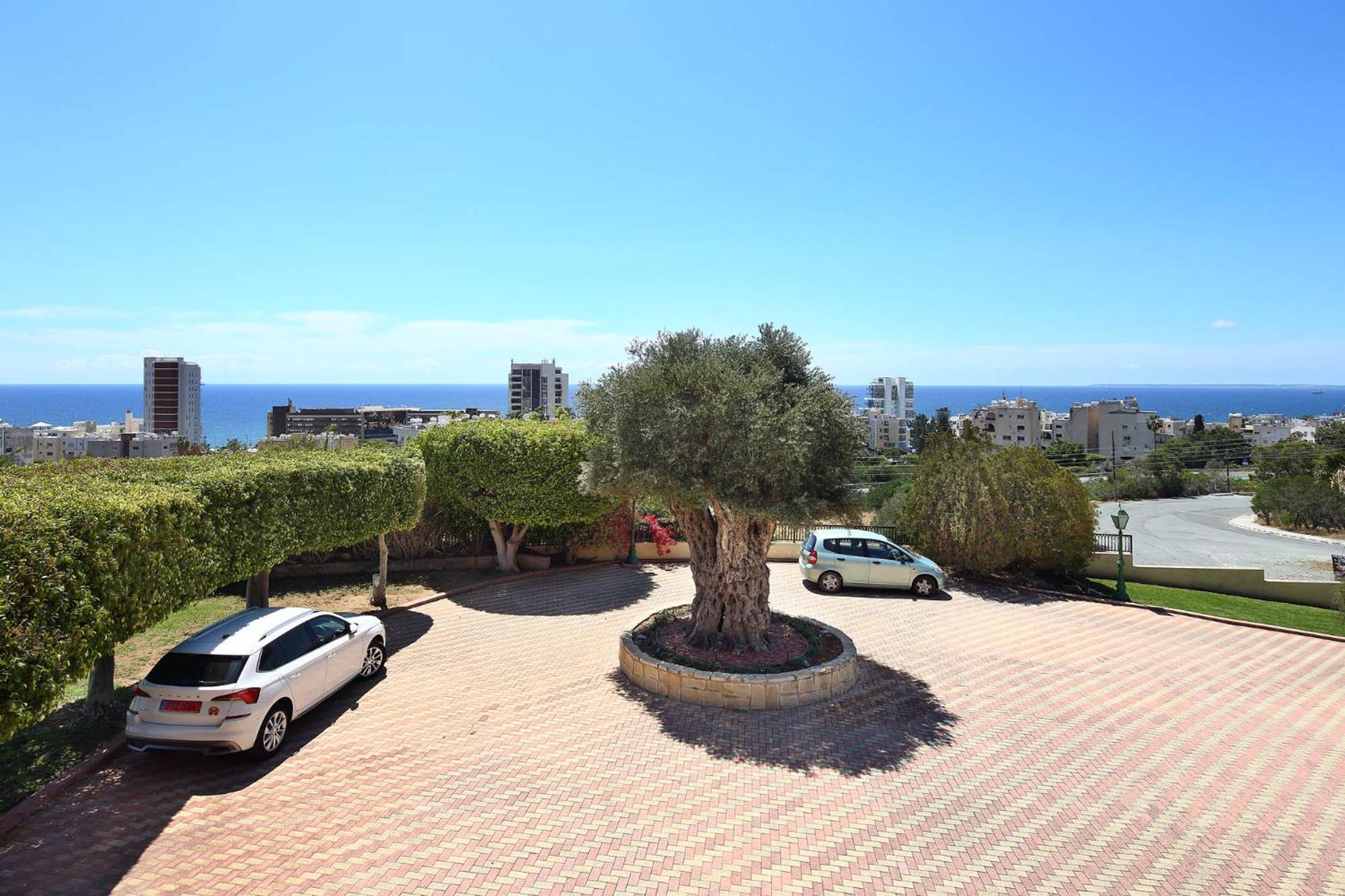 Apartment Olive Tree