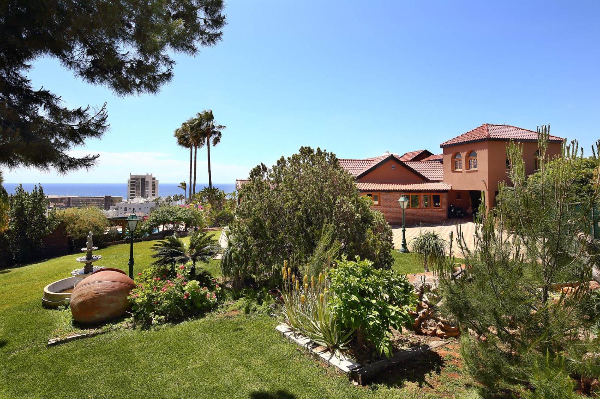 Apartment Olive Tree